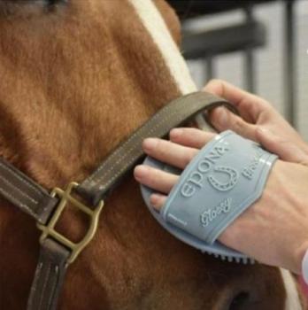 Preview: Epona; Gummistriegel - nobelblau